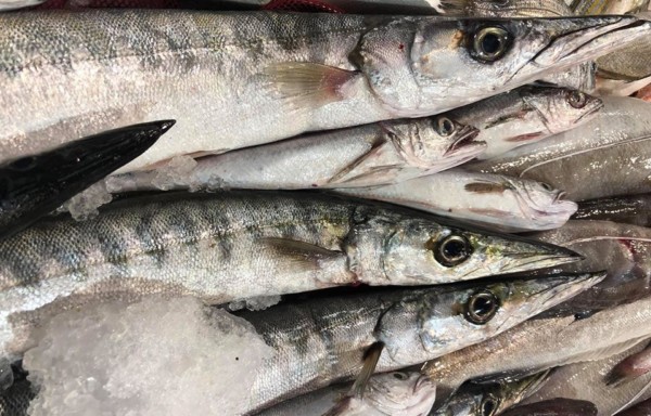 Pike