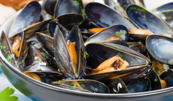 BIVALVES MOLLUSCS