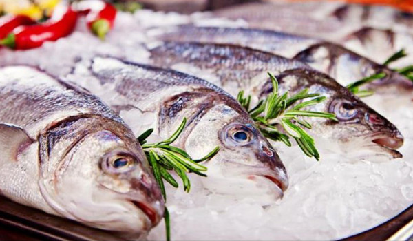 Fishs
