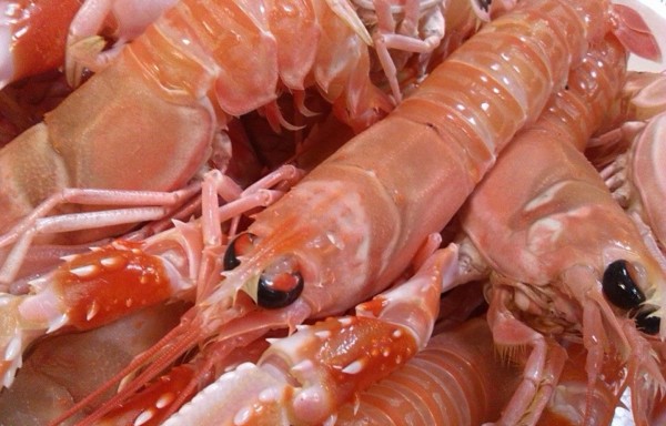 Prawn