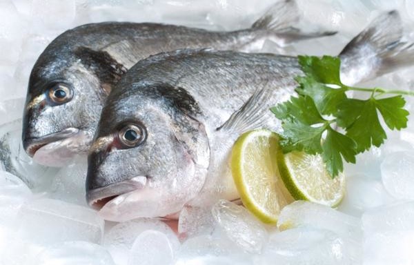 SEA BREAM